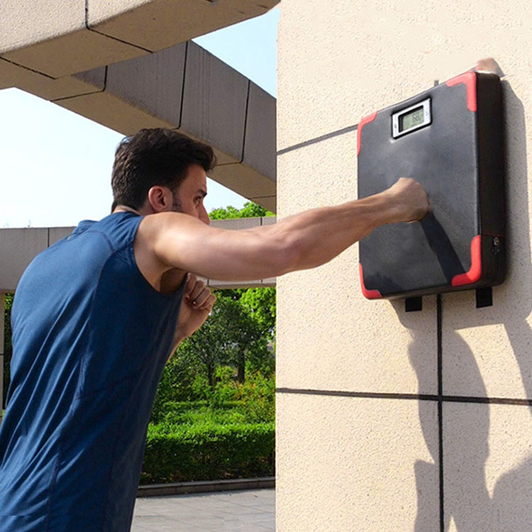 Fornecedor de luvas de boxe -ProCircle Technology