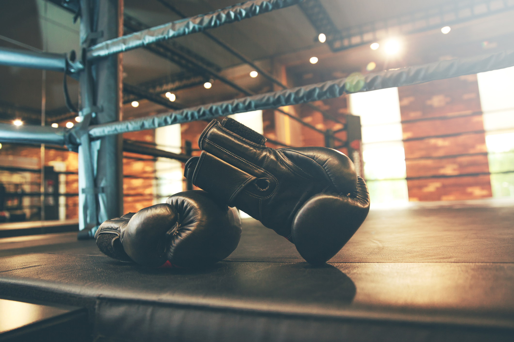 luvas de boxe