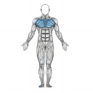 Pressão alternada no solo com Kettlebell