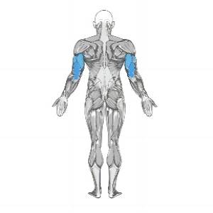 Extensão de tríceps com barra inclinada