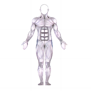 Caminhada Lateral com Faixa de Resistência