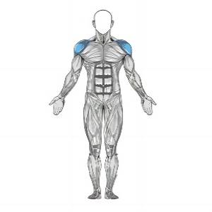 Limpeza de dois braços com Kettlebell