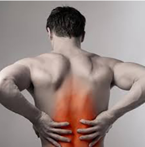 Use antes e depois do treino para aumentar o fluxo sanguíneo e acelerar a recuperação muscular