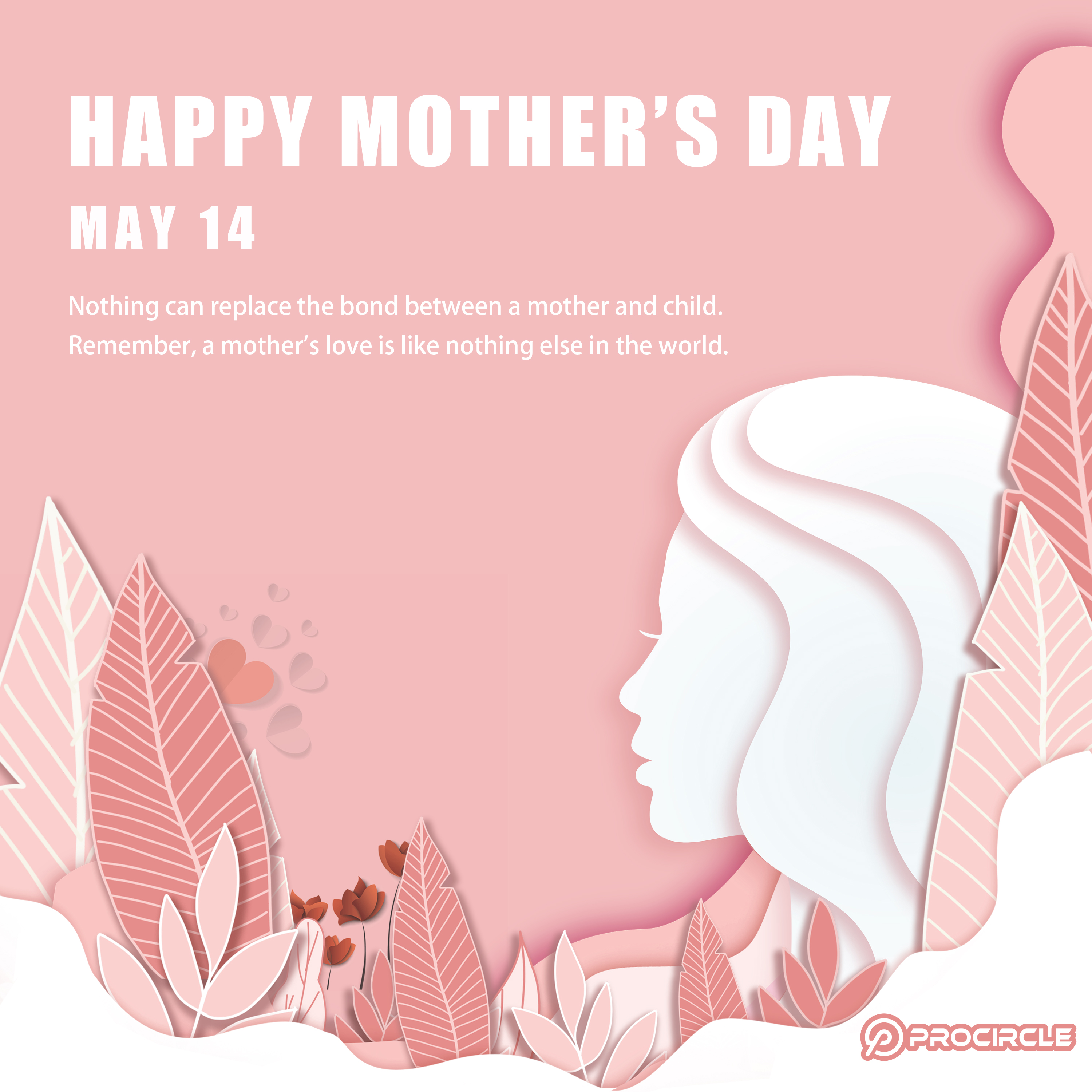 feliz Dia das Mães